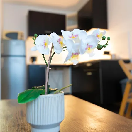 Appartement Proche Parc Tete D'or Lyon